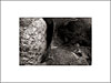 CRW_001802